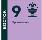 Звезда Богатства и Процветания №9